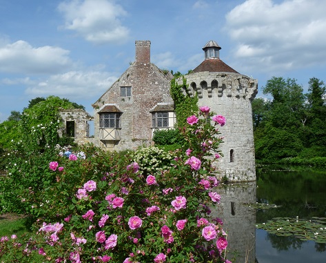 ANGLETERRE : LES JARDINS DU KENT